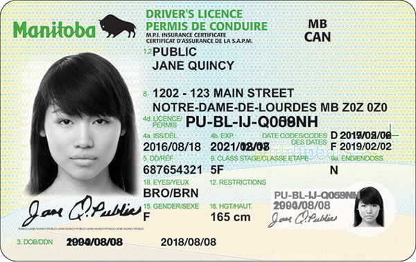 driver's licence